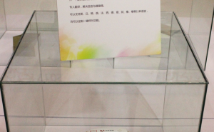 圖片6